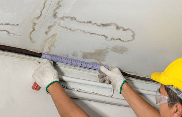Reliable Water Damage Repair contractor in Hendersonville, NC by Local Water Damage Repair